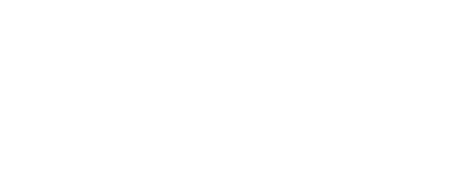 Action Renovations LLC
